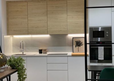 Proyecto Guzman & Cook - Chopera - 3